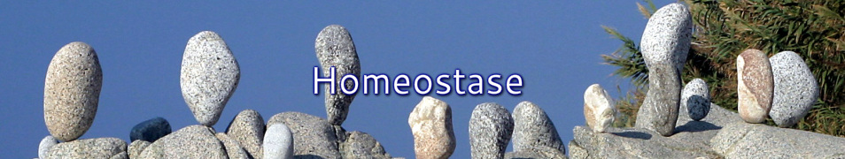 Homeostase