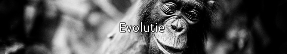 Evolutie aap